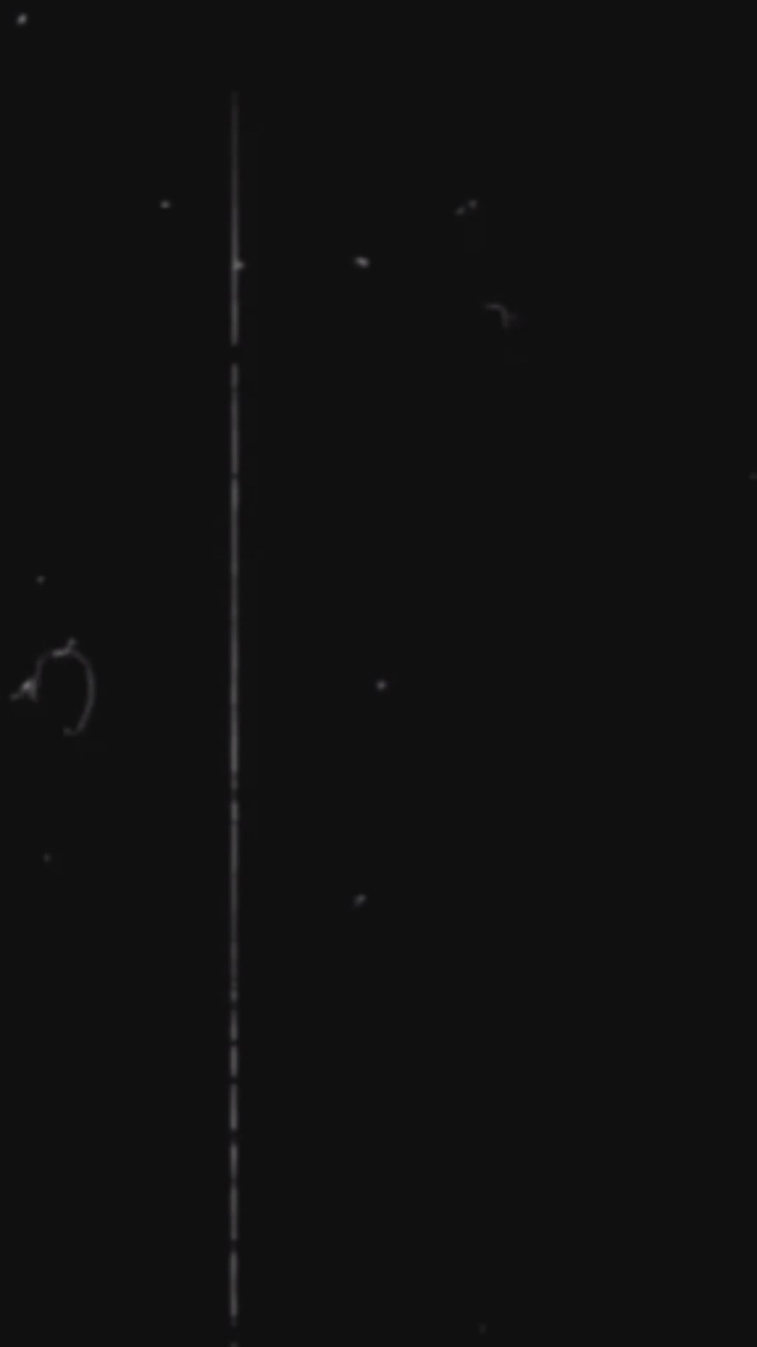 Disco Dust - Rhinestone Embellished Wide Leg Jeans