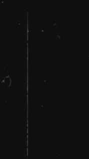 Disco Dust - Rhinestone Embellished Wide Leg Jeans